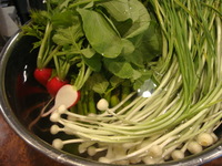 100411nitiyoubi 011.jpg