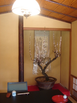 070224 019.jpg