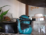 080508 017.jpg
