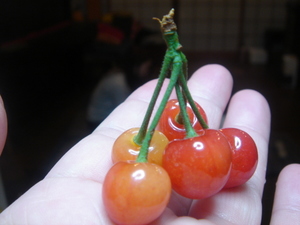 080511 005.jpg