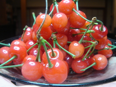 080511 006.jpg