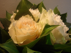 080512お誕生日 007.jpg