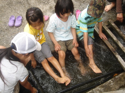 080525たんぼ 024.jpg