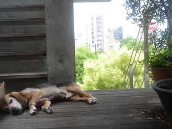 08061314 043.jpg
