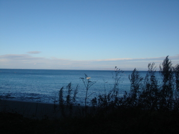 081201 034.jpg