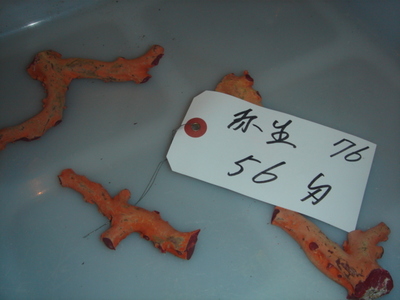 081205 010.jpg