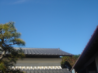 081228 058.jpg