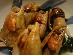 090424 010.jpg