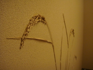 090429 012.jpg