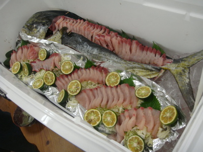 090828Nq 031.jpg