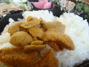 091201teigeki oma 026.jpg