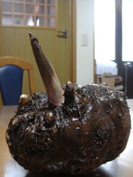 091230A4AAC0B5B7EEBDE0C8F720018-thumbnail2.jpg