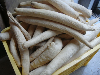 100104tukemono 017.jpg