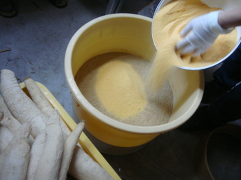 100104tukemono 022.jpg