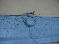 100225kagami 045.jpg