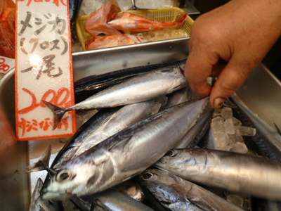 100904CHONMI 019.jpg