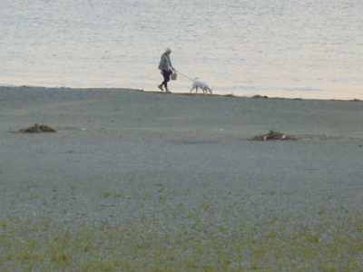 101006ws 010.jpg