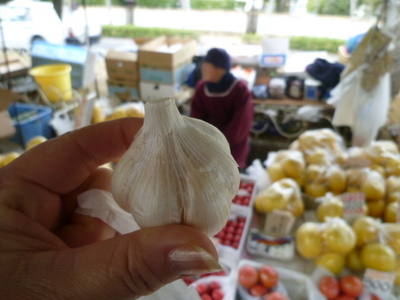 110327shion 014.jpg