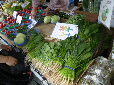 110327shion 015.jpg