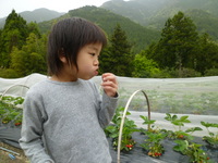 110503doronko 055.jpg
