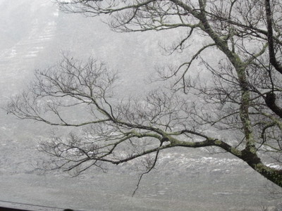 120104 003.jpg