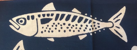 50693461_1886195761489784_4700168542362796032_o.jpg