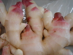 xW^u` 009.jpg