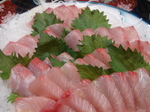 田舎で寿司を作ろう 127.jpg