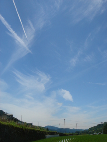 田植え 002.jpg