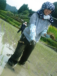 田植えと茶摘 023.jpg