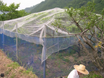 DSCN0337.JPG