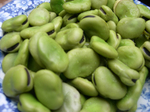 DSCN0345.JPG