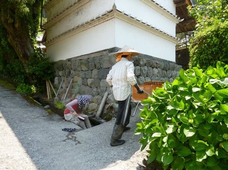 田植え1.jpg