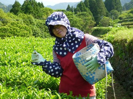 田植え2.jpg