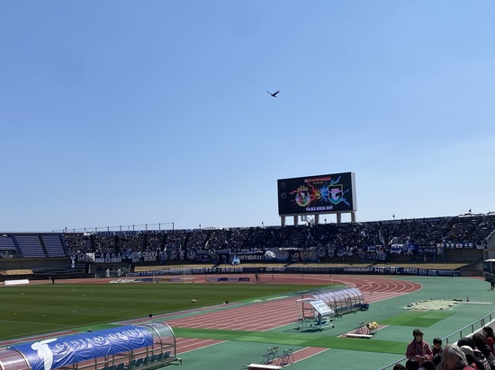 IMG_0406.jpeg