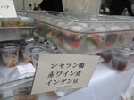 IMG_0582.JPG