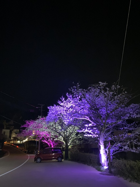 IMG_0590.jpeg