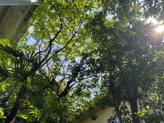 IMG_0879.jpeg