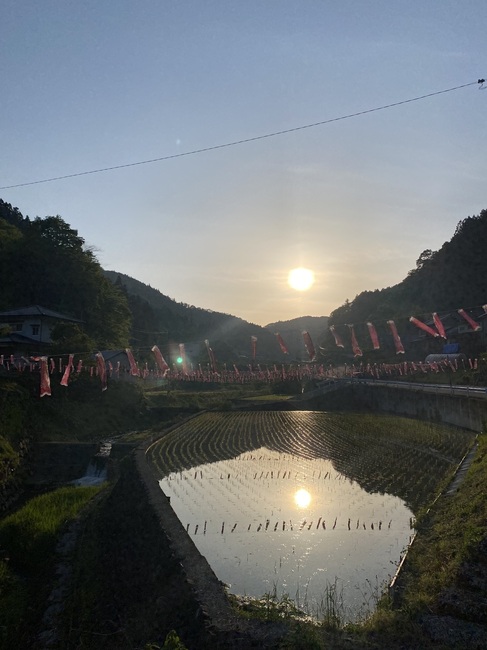 IMG_1348.jpeg
