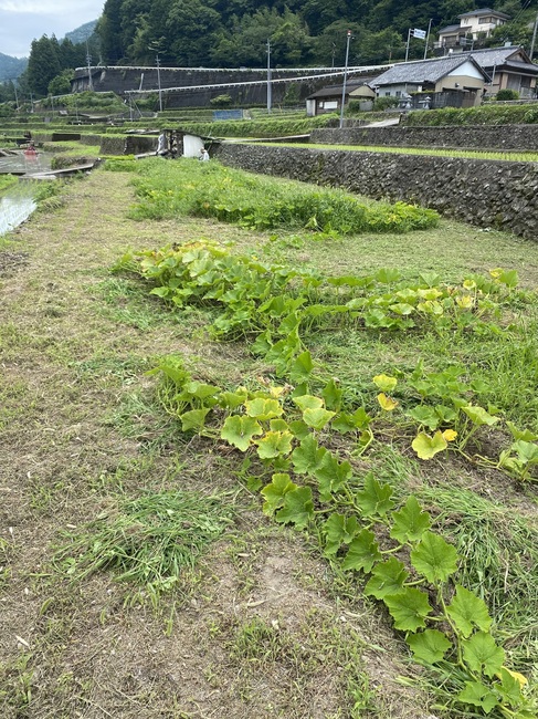 IMG_1857.jpeg