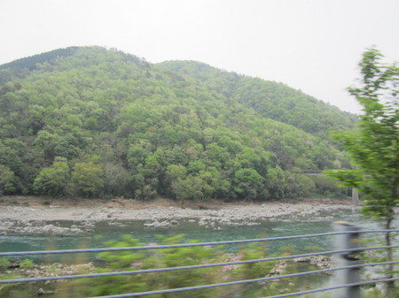 IMG_1877.JPG