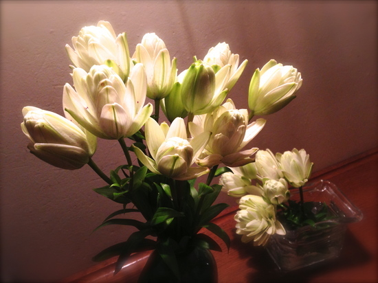 IMG_2204-87b9e-thumbnail2.JPG